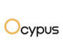 Ocypus